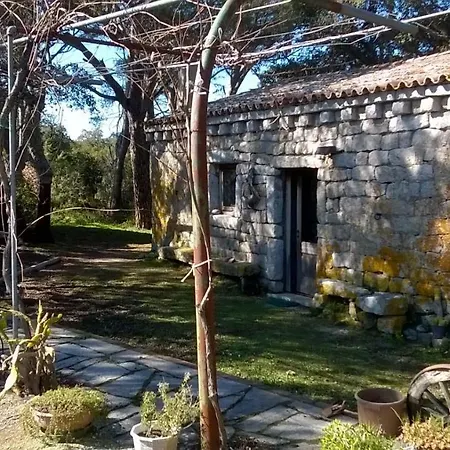 Agriturismo La Vigna-2